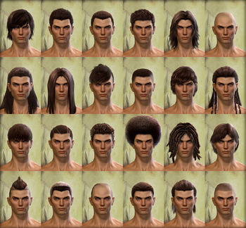 Human male hair styles.jpg