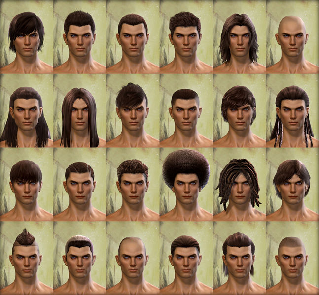 File:Human male hair styles.jpg