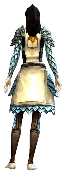 File:Guild Defender armor norn female back.jpg
