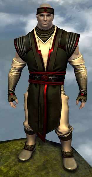 File:Medium Monastery armor norn male front.jpg