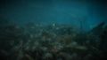 Krait Tower underwater lumber.jpg