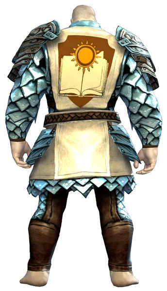 File:Guild Defender armor norn male back.jpg