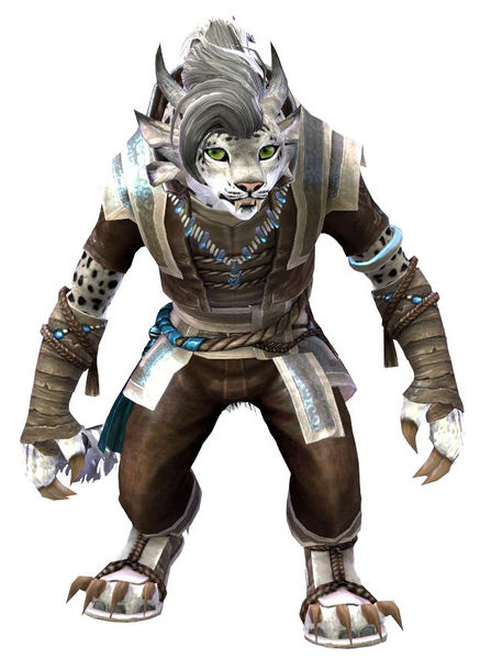 File:Monk's Outfit charr female front.jpg