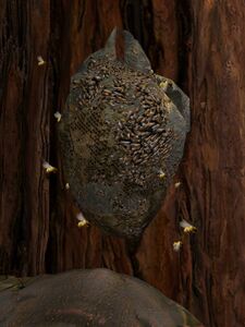 Beehive (Apiary Holt).jpg