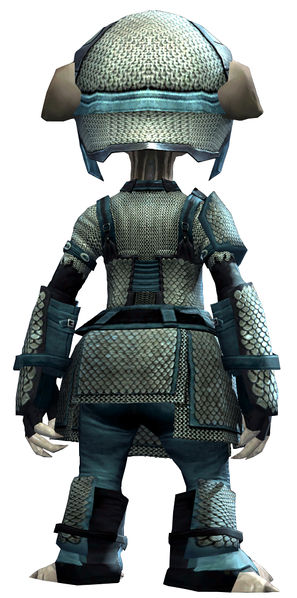 File:Heavy Scale armor asura female back.jpg
