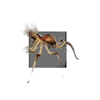 Cave Spider