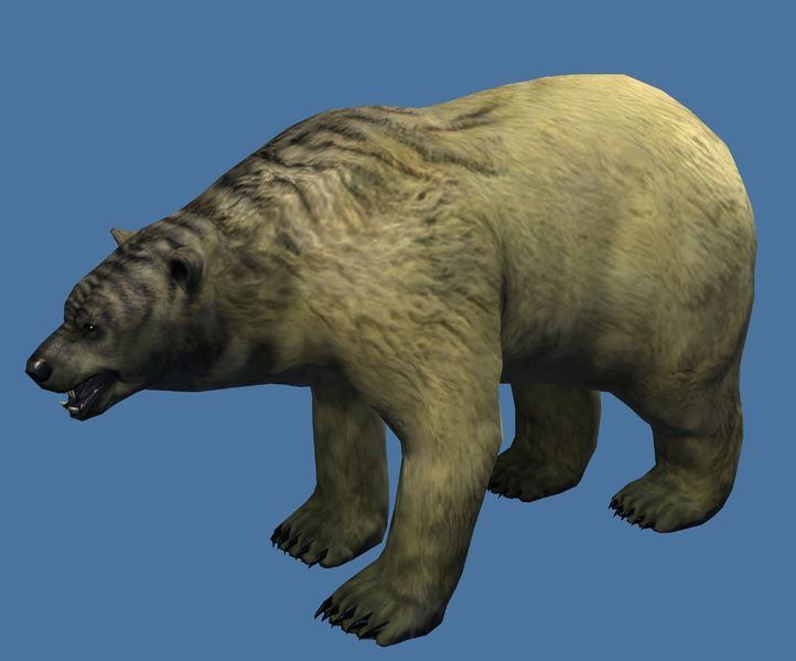 File:Mini Polar Bear.jpg