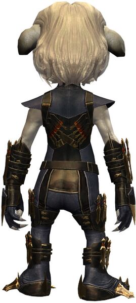 File:True Assassin's Guise Outfit asura female back.jpg