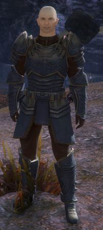 Captain Gregory - Guild Wars 2 Wiki (GW2W)