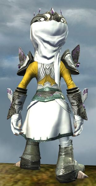 File:Ardent Glorious armor (light) asura male back.jpg