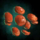 Handful of Red Lentils.png