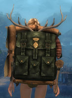 Ornate Leatherworker's Backpack.jpg