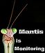User Neil2250 Monitoring Mantis.Jpg
