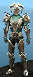 Mist Shard armor (heavy) human male front.jpg
