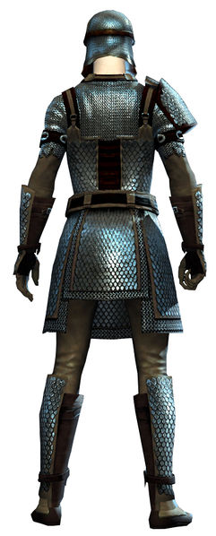 File:Heavy Scale armor human male back.jpg