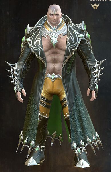 File:Midnight Hunter Outfit norn male front.jpg