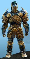 Luminous armor (heavy) norn male front.jpg