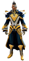 Phoenix armor human male front.jpg