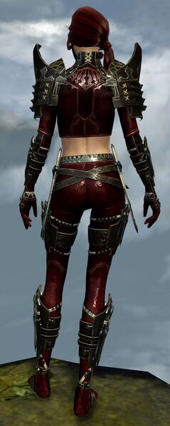File:True Assassin's Guise Outfit norn female back.jpg
