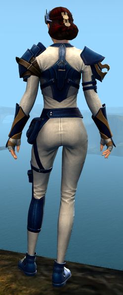 File:Elegy armor (light) norn female back.jpg