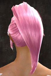 Unique norn female hair back 12.jpg