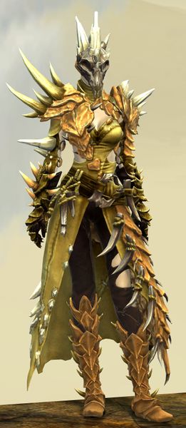 File:Bounty Hunter's armor (medium) human female front.jpg