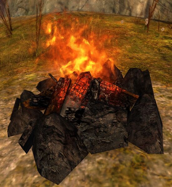 File:Campfire (Living World).jpg