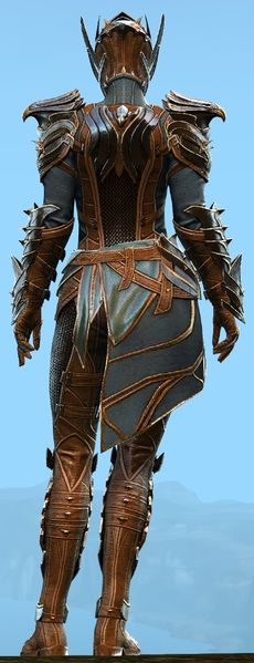 File:Ebon Vanguard Elite Outfit norn female back.jpg