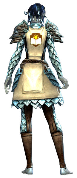 File:Guild Defender armor sylvari female back.jpg