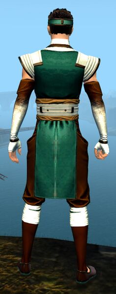 File:Light Monastery armor human male back.jpg