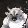 Exclusive face - charr female 6.jpg
