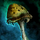 Thorny Mushroom.png
