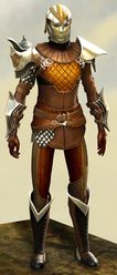Elegy armor (medium) sylvari male front.jpg