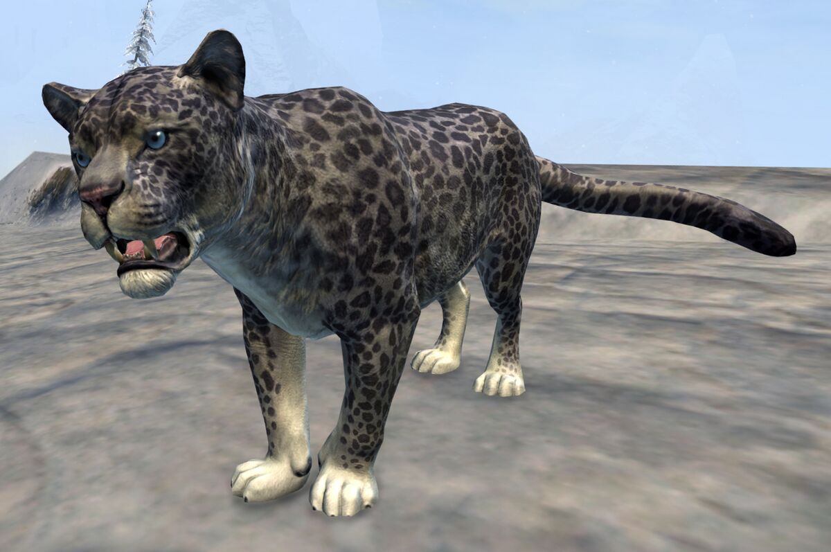 Juvenile Snow Leopard - Guild Wars 2 Wiki (GW2W)