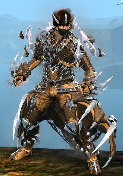 File:Perfected Envoy armor (light) human male front in combat.jpg
