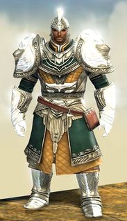 Radiant armor (light) norn male front.jpg