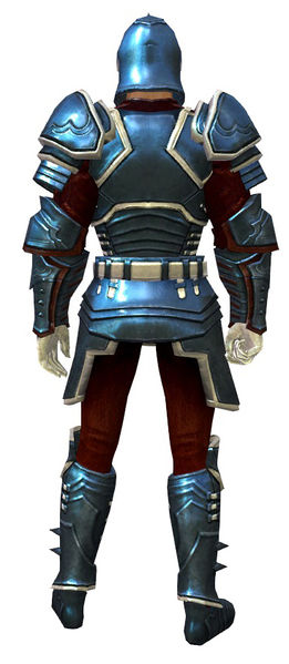 File:Ascalonian Protector armor human male back.jpg