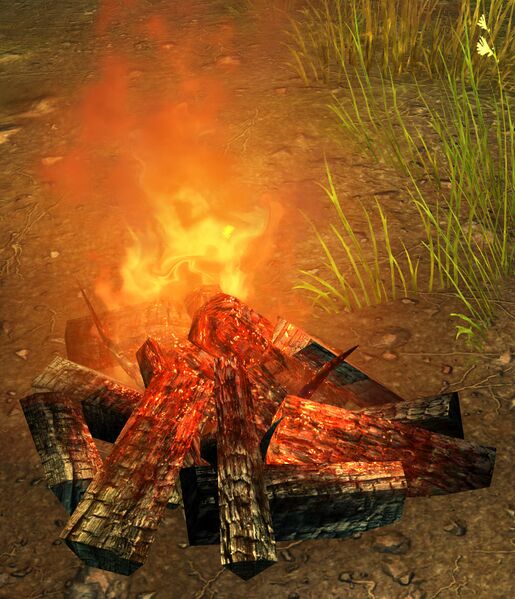 File:Cooking Fire.jpg
