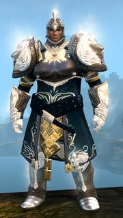 Radiant armor (medium) norn male front.jpg