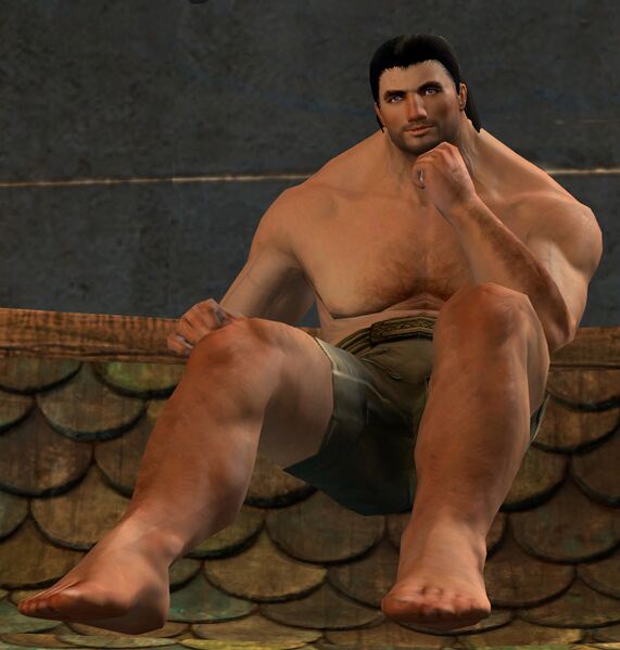 File:Illusion of Sitting (Serious) norn male.jpg