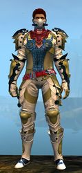 Triumphant armor (medium) human male front.jpg