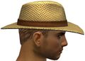 The hat from the side on a humanoid/asura male.